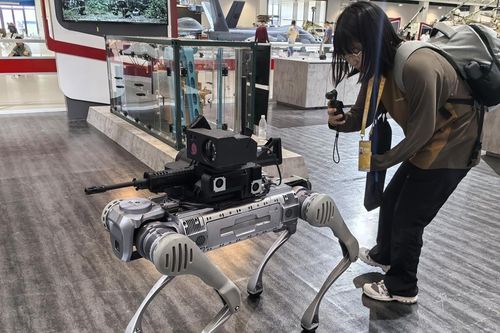 Trung Quốc trình làng 'sói robot' mới
