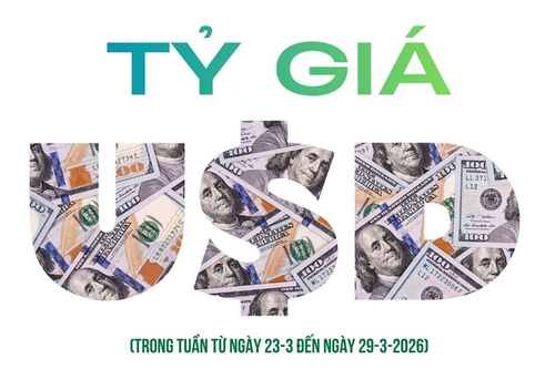 Biến động tỷ giá USD tuần qua