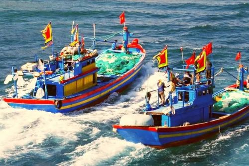 Vượt khó ra khơi, ngư dân trúng 'lộc'