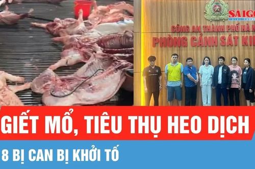 Hà Nội: Khởi tố 8 bị can trong đường dây giết mổ, tiêu thụ heo dịch