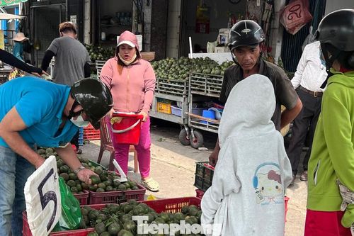 Cam sành, dưa hấu… đổ đống vỉa hè