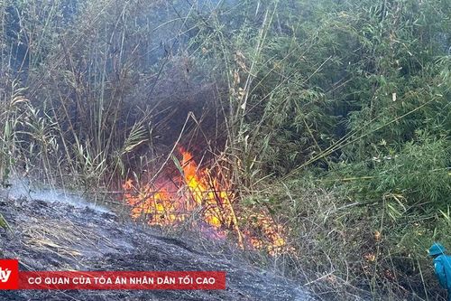 Hơn 130 người tham gia chữa cháy trên đỉnh đèo Bảo Lộc