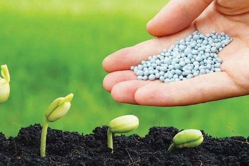 Doanh nghiệp phân bón chủ động giữ ổn định thị trường