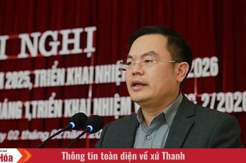 Khi đại ngàn 'cất cánh' (Bài 3): 'Đất lành vẫy gọi'