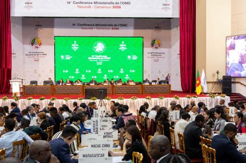 Đàm phán WTO bế tắc ngày cuối: Mỹ - Ấn Độ bất đồng sâu về thương mại điện tử