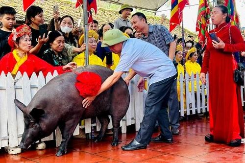 Bắc Ninh: Độc đáo lễ tế lợn đen