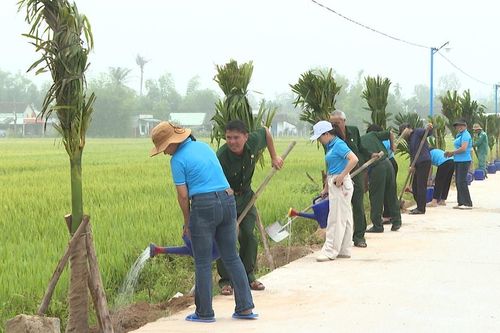 Ra mắt mô hình 'Hàng cau xanh' và tuyến đường sáng - xanh - sạch - đẹp phường Bàn Thạch