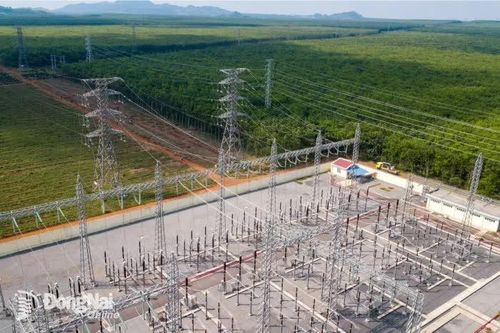 Điện lực Đồng Nai đóng điện thành công đường dây 110kV trọng điểm khu vực phía Đông tỉnh