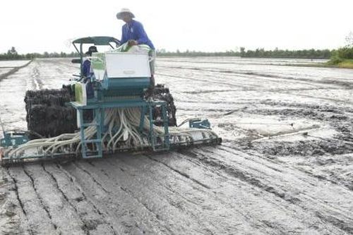 Đồng Tháp: Chủ động phòng, chống sinh vật gây hại cây trồng vụ Hè Thu 2026