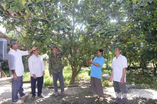Bài 3: Động lực phát triển từ cộng đồng