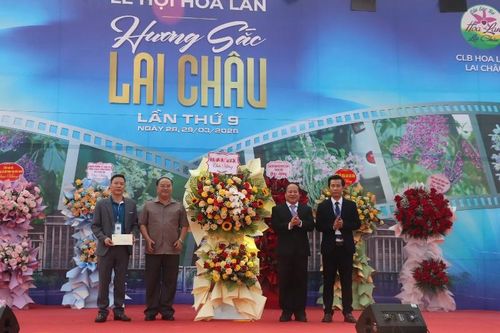 Đặc sắc Lễ hội Hoa lan năm 2026