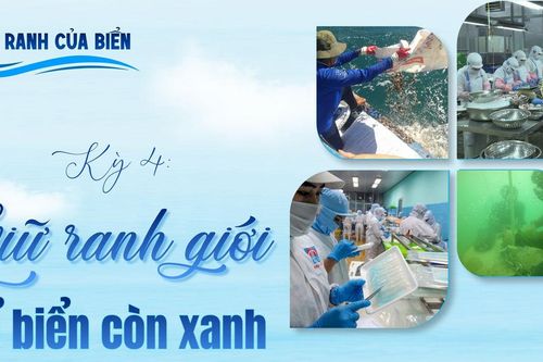 Kỳ 4: Giữ ranh giới để biển còn xanh