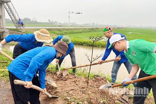 Tổ chức chương trình hưởng ứng trồng cây xanh - Vì một Quang Thiện xanh