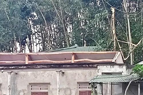 Khẩn trương khắc phục thiệt hại do dông, lốc gây ra