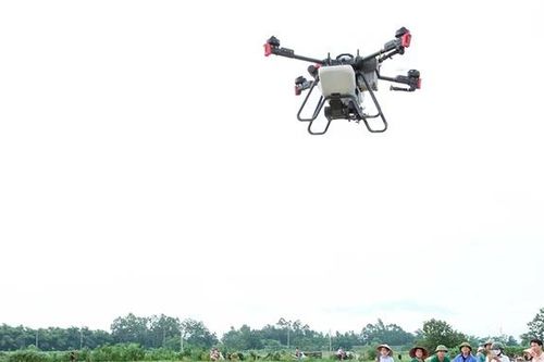 Tiên Lữ tập trung sản xuất nông nghiệp ứng dụng công nghệ cao