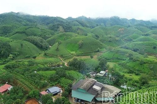 Sắc xanh phủ kín đất trung du