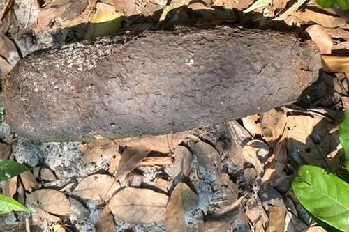 Phát hiện vật thể nghi bom, mìn tại Đan Điền