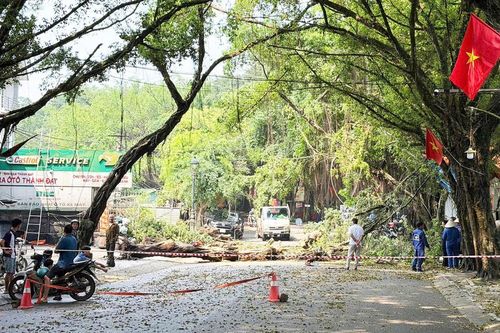 Khắc phục nhanh thiệt hại do mưa dông, gió giật tại khu di tích lịch sử Đền Hùng