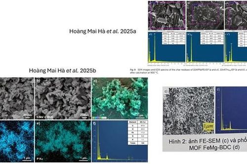 Dự án đoạt giải Nhất Cuộc thi khoa học kỹ thuật của học sinh Ninh Bình: Thêm nhiều bằng chứng sao chép khó chối cãi?