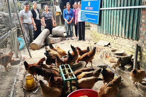 'Cầu nối' đưa khoa học kỹ thuật đến nông dân