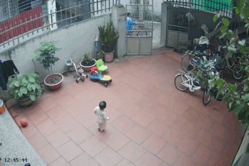 Em bé 25 tháng tuổi lon ton ra tiếp khách giúp chị gây sốt