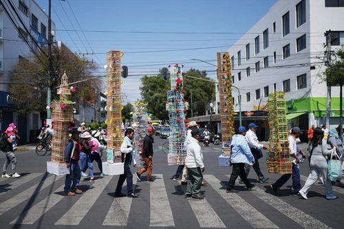 Độc đáo những 'tòa tháp chim' giữa phố Mexico