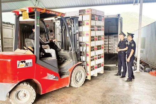 Tạo môi trường thông quan minh bạch
