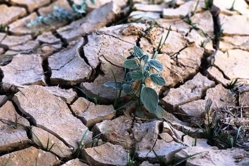 Bảo vệ tài nguyên nước toàn cầu