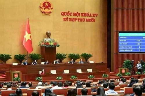Hoàn thiện khung pháp lý về phòng, chống tội phạm mạng và công nghệ cao