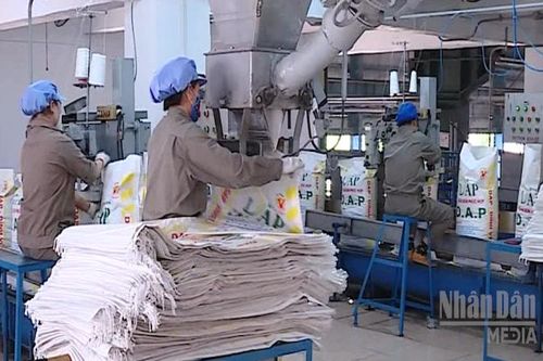 Doanh nghiệp, hiệp hội chung tay giữ nhịp sản xuất nông nghiệp