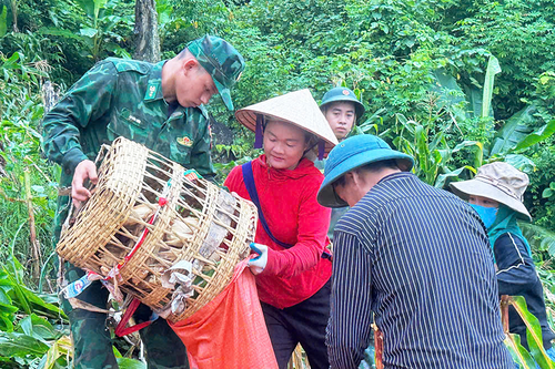 Nhiều mô hình giúp dân xóa nghèo