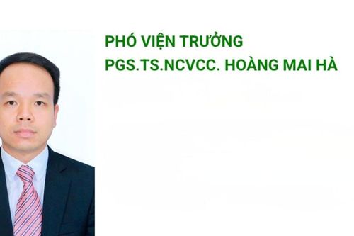 Viện Hóa học lên tiếng về nghi vấn của dự án giải Nhất Cuộc thi KHKT Quốc gia liên quan đến PGS. TS Hoàng Mai Hà