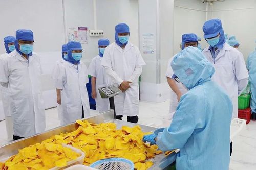 Nâng tầm thực phẩm Việt: Chuyển tư duy sản xuất sang chuỗi giá trị
