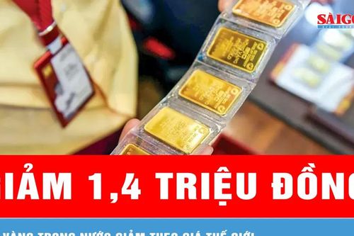 Sáng 30-3, giá vàng miếng SJC giảm 1,4 triệu đồng/lượng