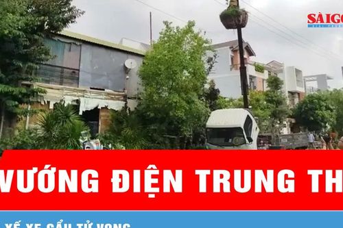 Lâm Đồng: Cẩu cây cảnh vướng điện trung thế, tài xế tử vong