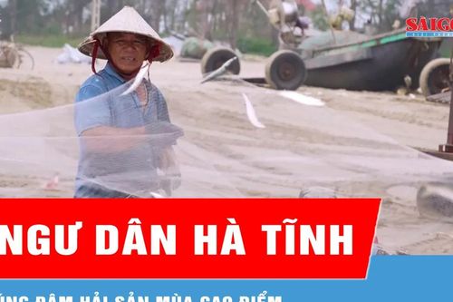 Ngư dân Hà Tĩnh trúng đậm hải sản mùa cao điểm