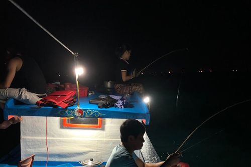 Ánh đèn đêm và nỗi lòng người giữ biển