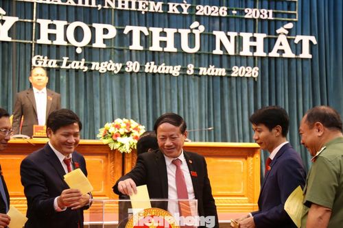 Gia Lai bầu nhân sự chủ chốt HĐND và UBND tỉnh