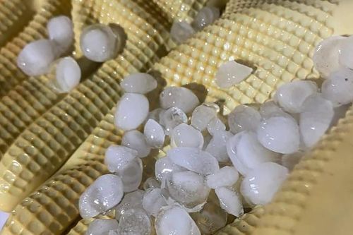 Mưa đá, giông lốc ở Quảng Ninh khiến 2 người tử vong