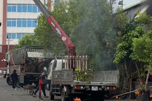 Xe cẩu cây xanh vướng dây điện, một nam thanh niên đứng gần bị tử vong