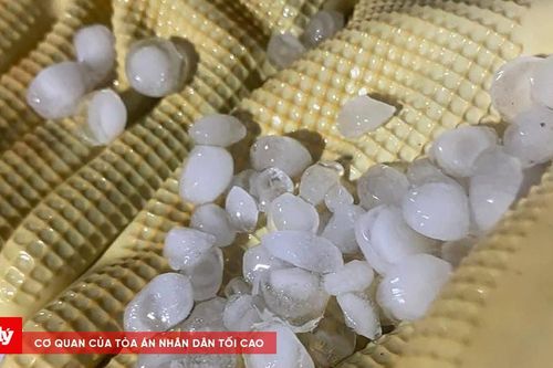 Mưa đá, giông lốc tại Quảng Ninh