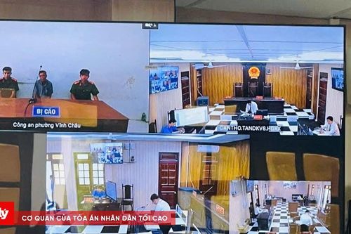 Xét xử trực tuyến vụ án giăng điện diệt chuột gây hậu quả chết người