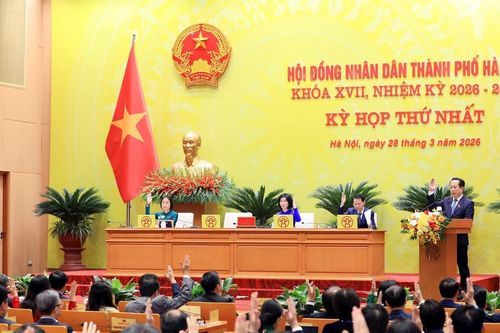 Bộ máy chính quyền địa phương khóa mới chậm nhất 1/4 đi vào hoạt động