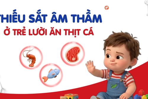 Thiếu sắt âm thầm ở trẻ lười ăn thịt cá