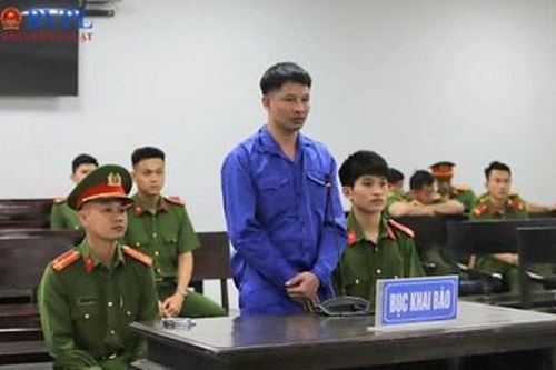 'Nghịch tử' giết mẹ lĩnh án chung thân