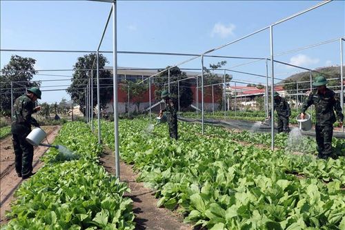 Những 'lão nông' tinh nhuệ trên thao trường Minh Đạm
