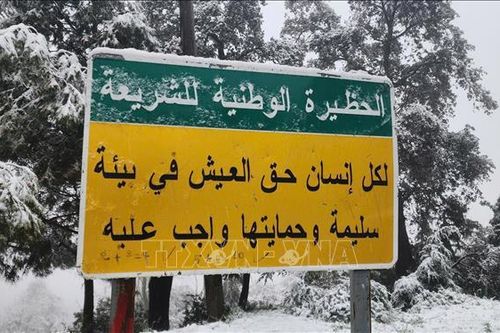Tuyết rơi giữa mùa Xuân ở Algeria