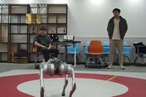 Từ suy nghĩ đến máy móc: Điều khiển chó robot chỉ bằng ý nghĩ