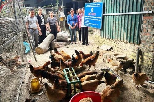 Cao Bằng đẩy mạnh chuyển giao kỹ thuật, nâng hiệu quả sản xuất nông nghiệp