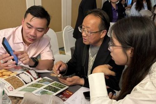 Cơ hội cho doanh nghiệp Việt - Trung mở rộng hợp tác xuyên biên giới